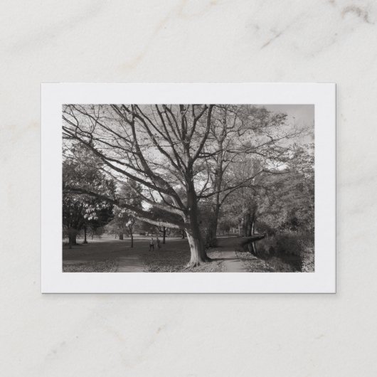 Carte De Visite Automne dans le parc (frontière) (Devant)
