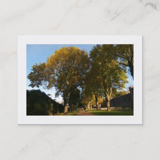 Carte De Visite Automne dans le parc (frontière) (Devant)