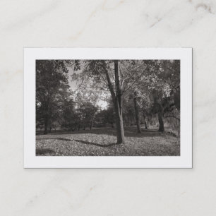 Carte De Visite Automne dans le parc (frontière)