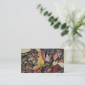 Carte De Visite Automne Feuillage Automne Feuilles Nature Arbre Ph (Debout devant)