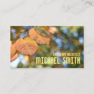 Carte De Visite Automne Feuillage Automne Feuilles Nature Arbre Ph