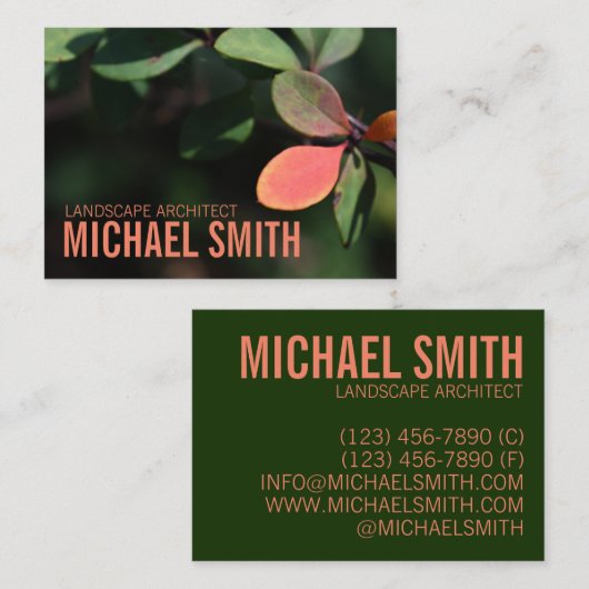 Carte De Visite Automne Feuilles d'automne Rouge Vert Nature Volag (Devant / Derrière)