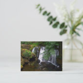 Carte De Visite Automnes de Whatcom (Debout devant)