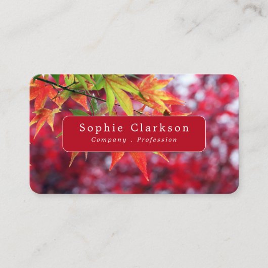 Carte De Visite Autumn Maple Tree Leaves, Rustic (Devant)
