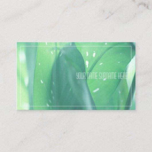 Carte de visite avec feuilles de plante vert pâle (Devant)