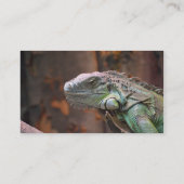 Carte de visite avec Lizard coloré Iguana (Dos)