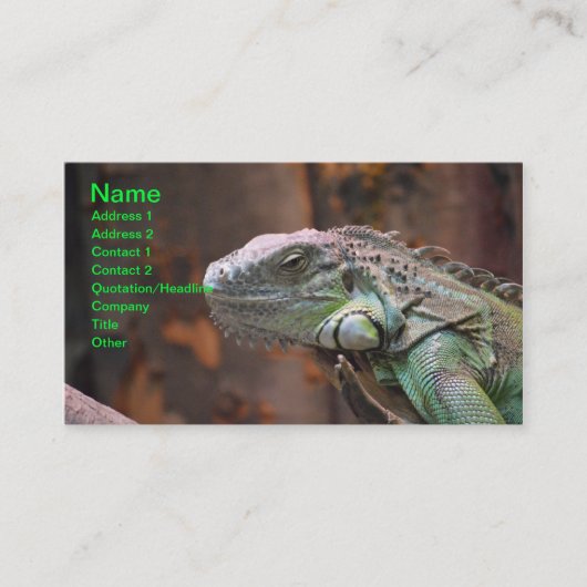 Carte de visite avec Lizard coloré Iguana (Devant)