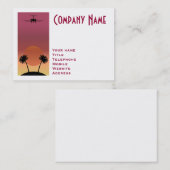 Carte De Visite Avion (Devant / Derrière)