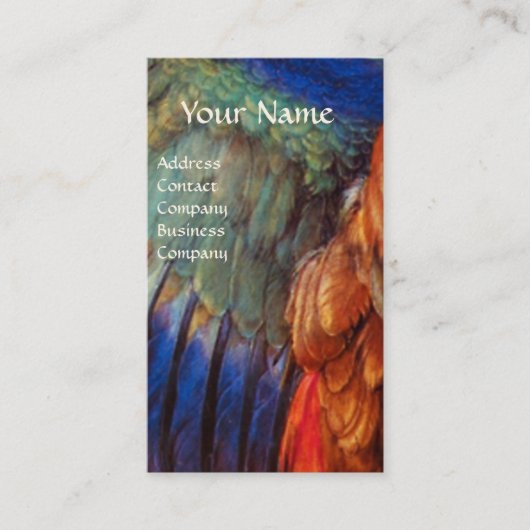 CARTE DE VISITE AVION DES PLUMES D'UN ROULEUR SUR LE PARCHEMENT AN (Devant)