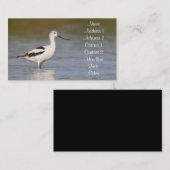 Carte De Visite Avocet américain blanc (Devant / Derrière)