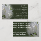 carte de visite - Azalées blanches (Devant / Derrière)