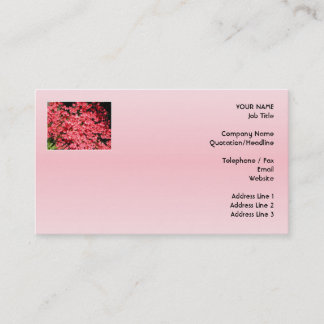 Carte De Visite Azalées. Fleurs assez roses