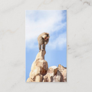 Carte De Visite Babouin majestueux sur un sommet de montagne