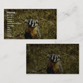 Carte De Visite Badger (Devant / Derrière)