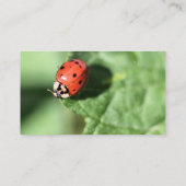 Carte De Visite Bague (Dos)