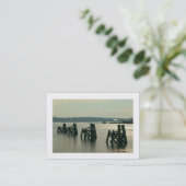 Carte De Visite Baie Cardiff (Bordé) (Debout devant)