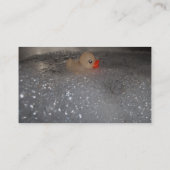 Carte De Visite Baignoire (Dos)