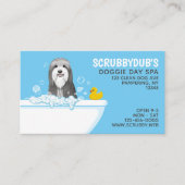 Carte De Visite Bain Chien | Grooming | Collie barrée Busine (Devant)