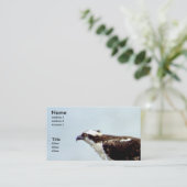 Carte De Visite Balbuzard (Debout devant)