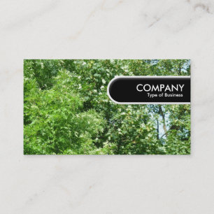 Carte De Visite Balise Arête Arrondie - Brise Été