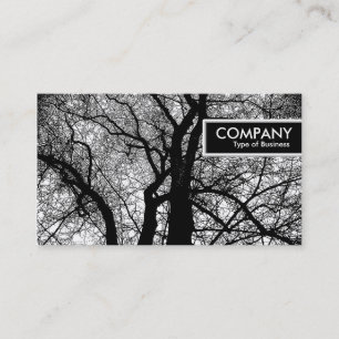 Carte De Visite Balise de bord - Arbre de contraste élevé