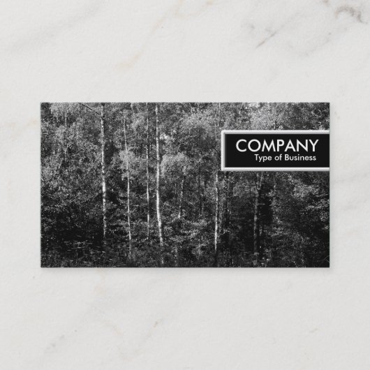 Carte De Visite Balise de bord - Arbres à bouleau d'argent B&W (Devant)