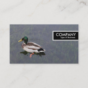 Carte De Visite Balise de bord - Canard colvert