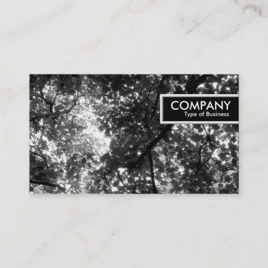 Carte De Visite Balise de bord - Dans les arbres (Devant)