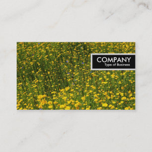 Carte De Visite Balise de bord - Lit de marguerites jaunes