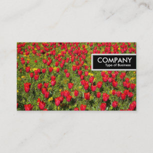 Carte De Visite Balise de bord - Lit de tulipes