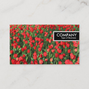 Carte De Visite Balise de bord - Lit de tulipes rouges 02