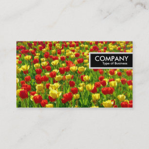 Carte De Visite Balise de bord - Mer des tulipes