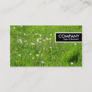 Carte De Visite Balise de bord - Pré de Dandelion 02