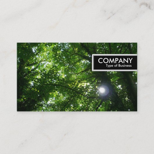 Carte De Visite Balise de bord - Soleil dans les arbres (Devant)