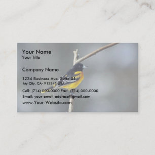 Carte De Visite Baltimore Oriole