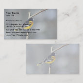 Carte De Visite Baltimore Oriole (Devant / Derrière)