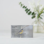 Carte De Visite Baltimore Oriole (Debout devant)