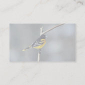 Carte De Visite Baltimore Oriole (Dos)