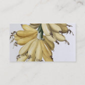 Carte De Visite Banane, 1816 (Dos)