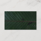 Carte De Visite Banane de plante (Dos)