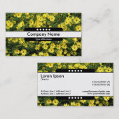 Carte De Visite Bande centrale 5 emplacements - Faisceaux jaunes (Devant / Derrière)