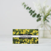 Carte De Visite Bande centrale 5 emplacements - Faisceaux jaunes (Debout devant)