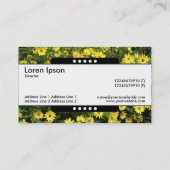 Carte De Visite Bande centrale 5 emplacements - Faisceaux jaunes (Dos)