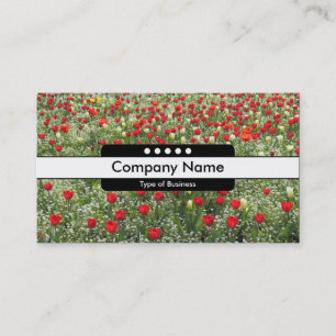 Carte De Visite Bande centrale 5 places - Lit de tulipes