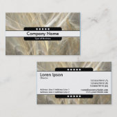 Carte De Visite Bande centrale 5 points - Flamme fractale (Devant / Derrière)