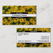 Carte De Visite Bande centrale 5 points - Susans aux yeux noirs (Devant / Derrière)