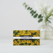 Carte De Visite Bande centrale 5 points - Susans aux yeux noirs (Debout devant)