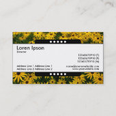 Carte De Visite Bande centrale 5 points - Susans aux yeux noirs (Dos)