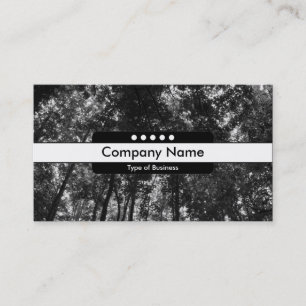 Carte De Visite Bande centrale 5 Spots - Canopée forestière 0