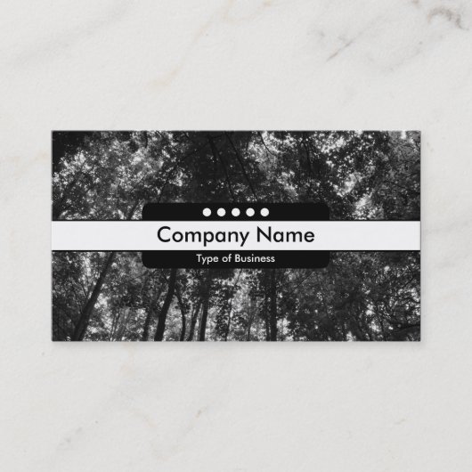 Carte De Visite Bande centrale 5 Spots - Canopée forestière 0 (Devant)